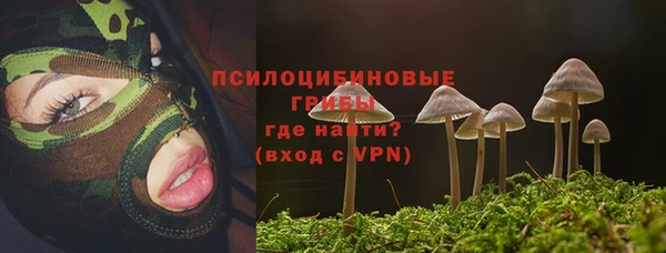 скорость Богородск