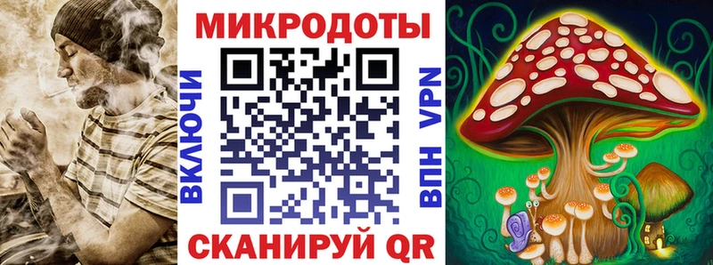 Галлюциногенные грибы Psilocybe  Бежецк 